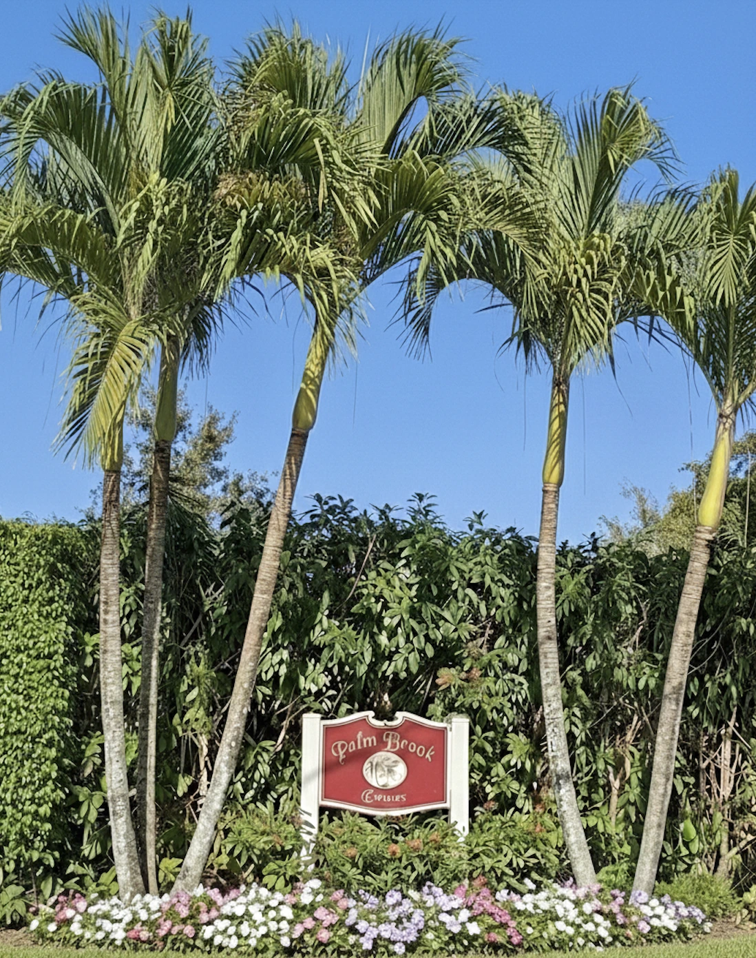 Palm Brook Estates Community